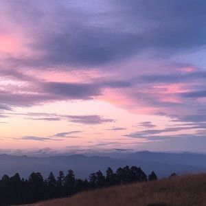 Meet your Posher, Hailey